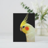 Lutino Cockatiel Briefkaart (Staand voorkant)