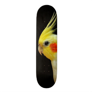 Lutino Cockatiel Persoonlijk Skateboard