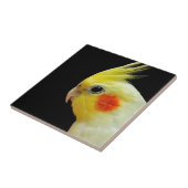 Lutino Cockatiel Tegeltje (Zijkant)