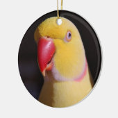 Lutino Indian Ringnek Parakeet Beak Keramisch Ornament (Links)