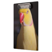 Lutino Indian Ringnek Parakeet Beak Klembord (Links)