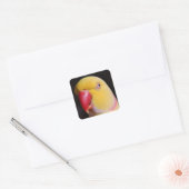 Lutino Indian Ringnek Parakeet Beak Vierkante Sticker (Envelop)