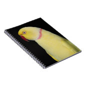 Lutino Indian Ringnek Parakeet Pose Notitieboek (Rechterzijde)