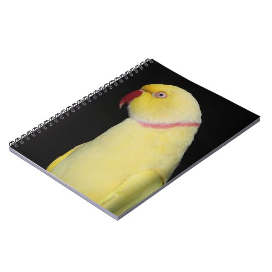 Lutino Indian Ringnek Parakeet Pose Notitieboek (Linkerzijde)