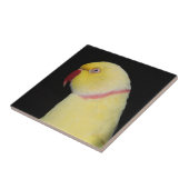 Lutino Indian Ringnek Parakeet Pose Tegeltje (Zijkant)