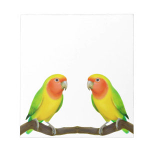 Lutino Lovebird Love Notepad Notitieblok