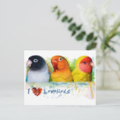 Lutino-papegaaien Briefkaart (Staand voorkant)