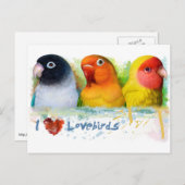 Lutino-papegaaien Briefkaart (Voorkant / Achterkant)