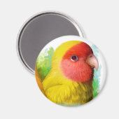 Lutino perzik gezicht lovebird magneet (Voorkant / Achterkant)