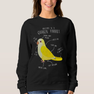 Lutino Quaker Parrot Anatomy Cute Pet Parrot Bird Trui