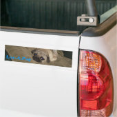Luv-A-Pug Bumpersticker (Op Truck)