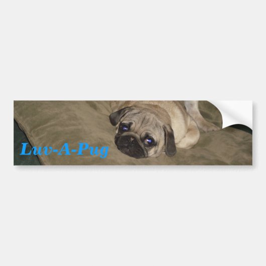 Luv-A-Pug Bumpersticker (Voorkant)