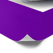 Luv N Muffin RagaMuffin Katten & Kittens Poster (Hoek)