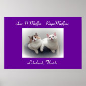 Luv N Muffin RagaMuffin Katten & Kittens Poster (Voorkant)