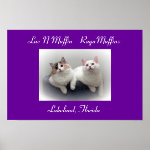 Luv N Muffin RagaMuffin Katten & Kittens Poster