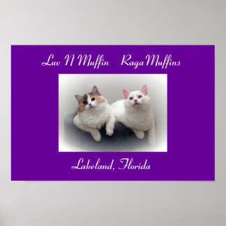 Luv N Muffin RagaMuffin Katten & Kittens Poster