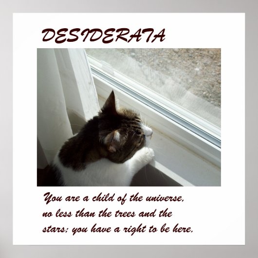 Luvlee's Window DESIDERATA-poster Poster (Voorkant)