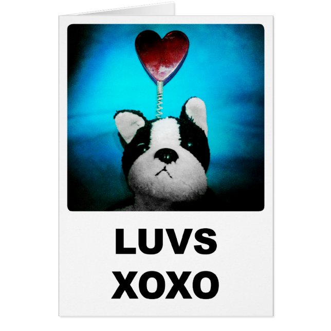 Luvs XOXO-kaart (Voorkant)