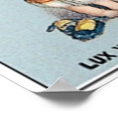 Lux Soap Poster (Hoek)