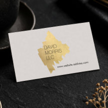 Luxe Abstract Gouden Kwaststreeklogo op Taan