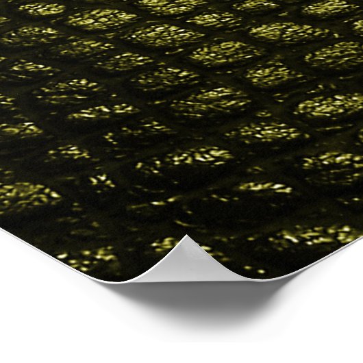 Luxe donkere krokodil huidtextuur. poster (Hoek)