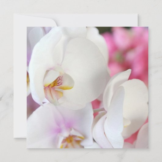 Luxe Elegante Witte Orchidee Bruiloft Uitnodigen Kaart (Achterkant)