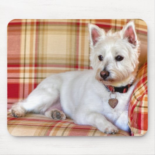 Luxe Muismat (Voorkant)