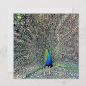 Luxe: Pearl Shimmer 5,25 x 5,25-inch uitnodiging (Voorkant / Achterkant)