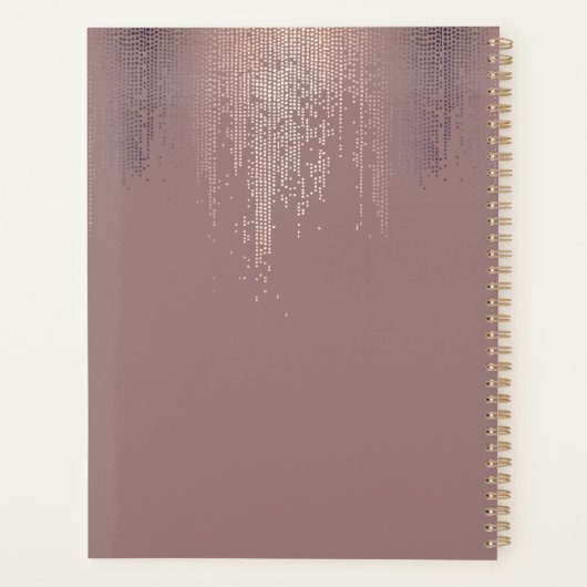 Luxe Roos Gold Confetti Regen Afspraakboek Planner (Achterkant)