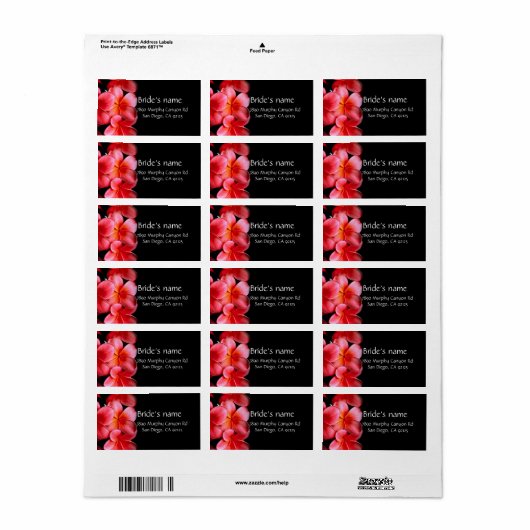 Luxe roze Elegant Plumeria Adreslabel Etiket (Full Sheet)