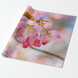 Luxe Sakura-bloemen in de lentuin Cadeaupapier