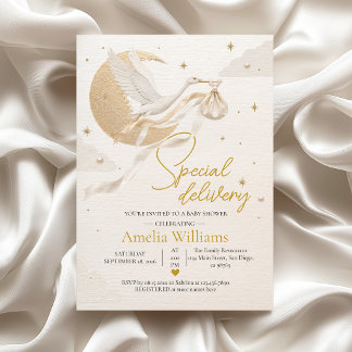 Luxe speciale bezorging Ooievaar Baby Shower Kaart