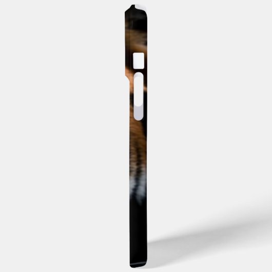 Luxe Tiger Eye iPhone 15 Pro Max Hoesje – (Achterkant / Links)