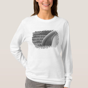 Luxemburg, Stad Luxemburg, Kirchberg-plateau. T-shirt