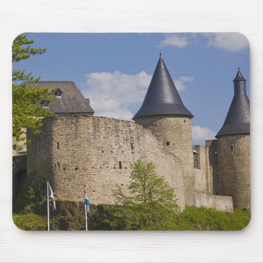 Luxemburg, Sûre riviervallei. Bourscheid, Muismat (Voorkant)