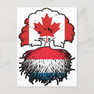 Luxemburgse Luxemburgse Canadese boom - root Briefkaart