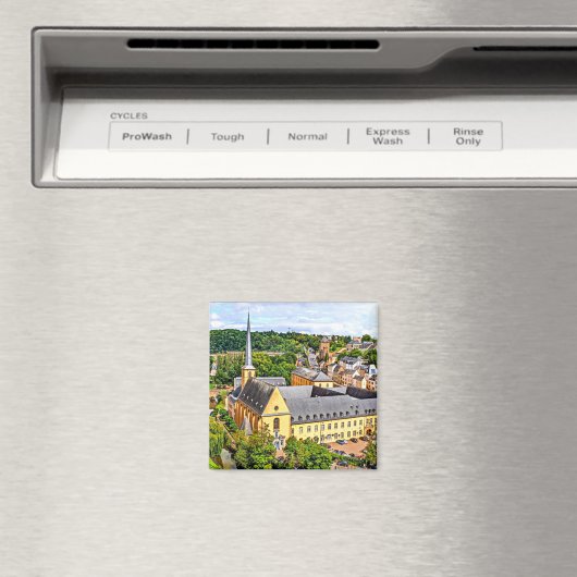 Luxemburgse stad magneet (Insitu (Vaatwasser))