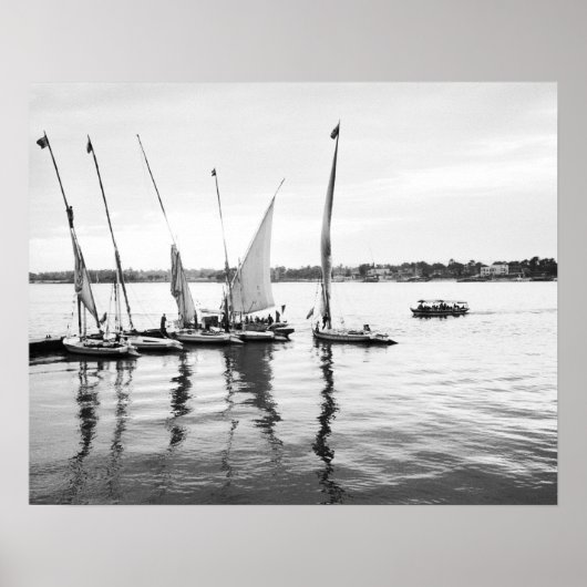 Luxor Egypte, Feluccas op de Nijl Poster (Voorkant)