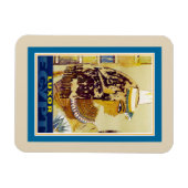 Luxor magneet (Horizontaal)