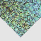 Luxueuze Blauwgroen peacock-backveren Tissuepapier (Detail)