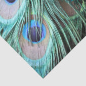 Luxueuze Elegant Boho Blauwgroen Peacock Feathers Tissuepapier (Detail)