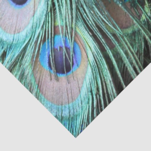 Luxueuze Elegant Boho Blauwgroen Peacock Feathers Tissuepapier (Detail)