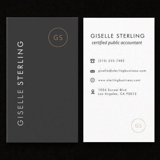 Luxury Income Tax Preparer CPA Accountant Visitekaartje