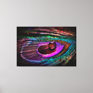Luxury Wall Art Macro fotografie Peacock Feather Canvas Afdruk
