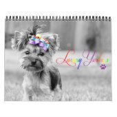 Luxury Yorkies 2014 Aangepast gedrukt kalender (Hoes)