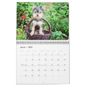 Luxury Yorkies 2014 Aangepast gedrukt kalender (Mar 2027)
