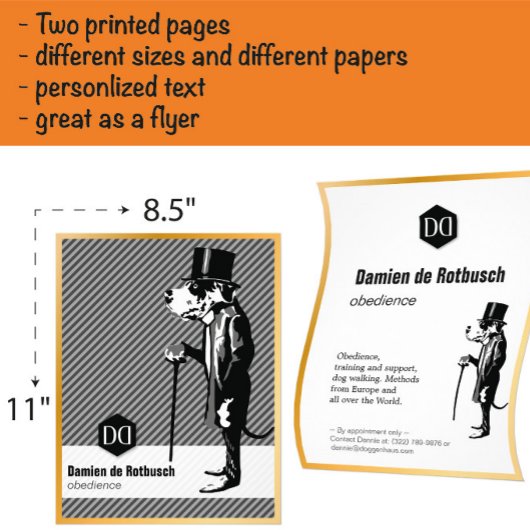 Luxus Fleyer mit Goldrand für Hundeschulen Flyer