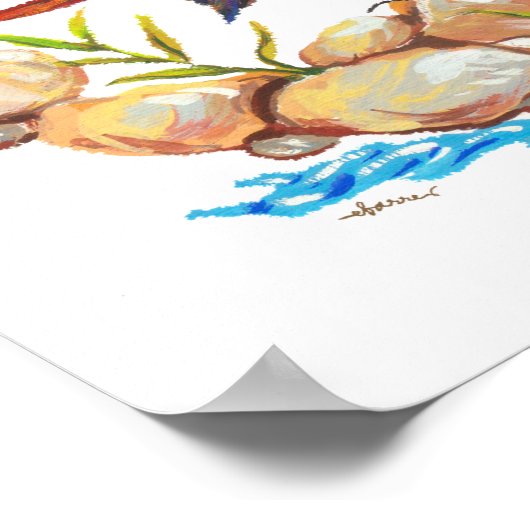 Luzon Water Redstart Endemic Philippine Bird Poster (Hoek)