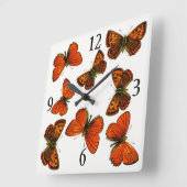 Lycaena virgaureae, The Scarce Copper Butterfly Vierkante Klok (Hoek)