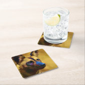 Lycaon Pictus Kartonnen Onderzetters (Insitu)